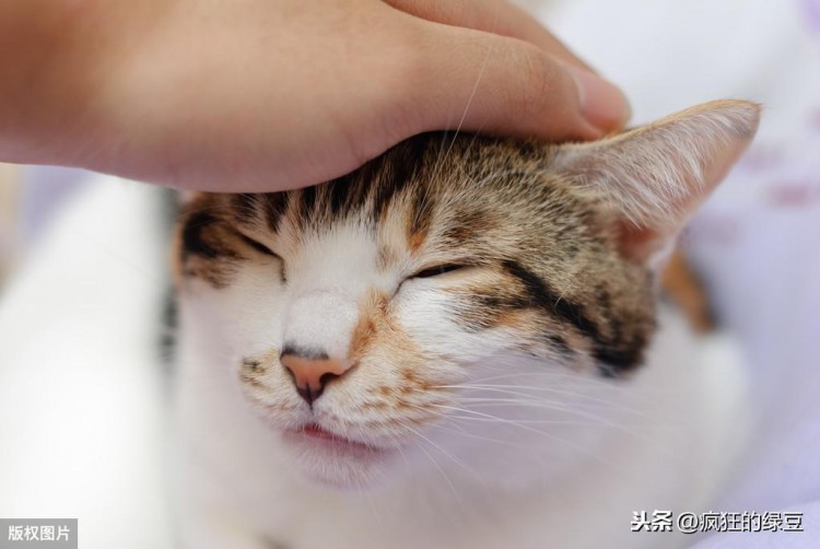 偷偷告诉你我因为微博小号脱单了