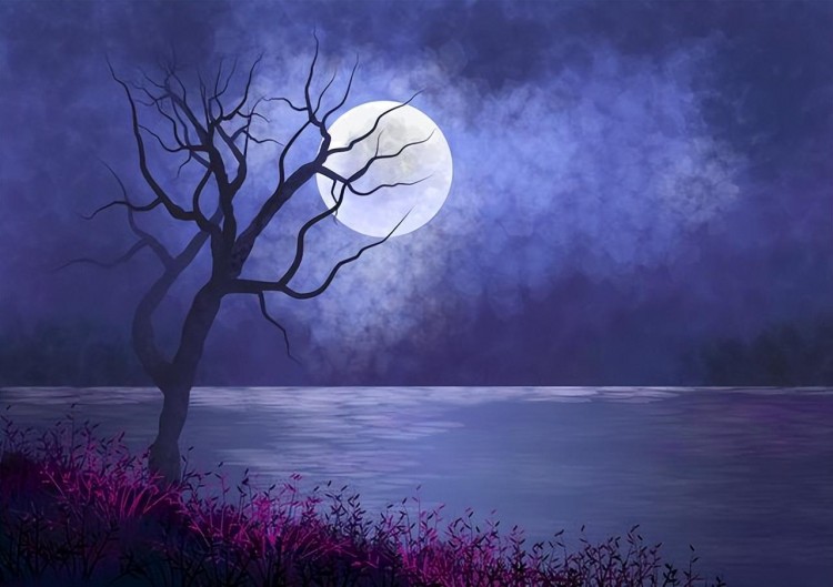 适合拿来发微信的情话简洁朴实爱情本应该纯真