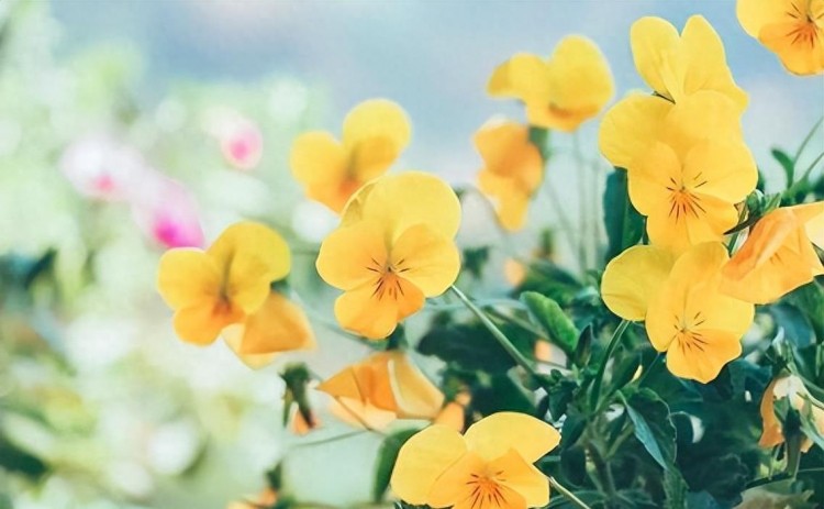 微信爱情大揭秘：谁最关注你的一举一动！